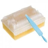 BD E-Z Scrub™ Pre-Operative Surgical Scrub Brush with 4% Chlorhexidine (CHG 4%)
