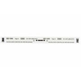 Steam Sterilization Indicator Strip