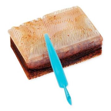 E-Z Scrub 4% CHG-Impregnated Surgical Scrubing Brush 30Ct