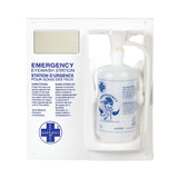 eye-wash-station-wallmount
