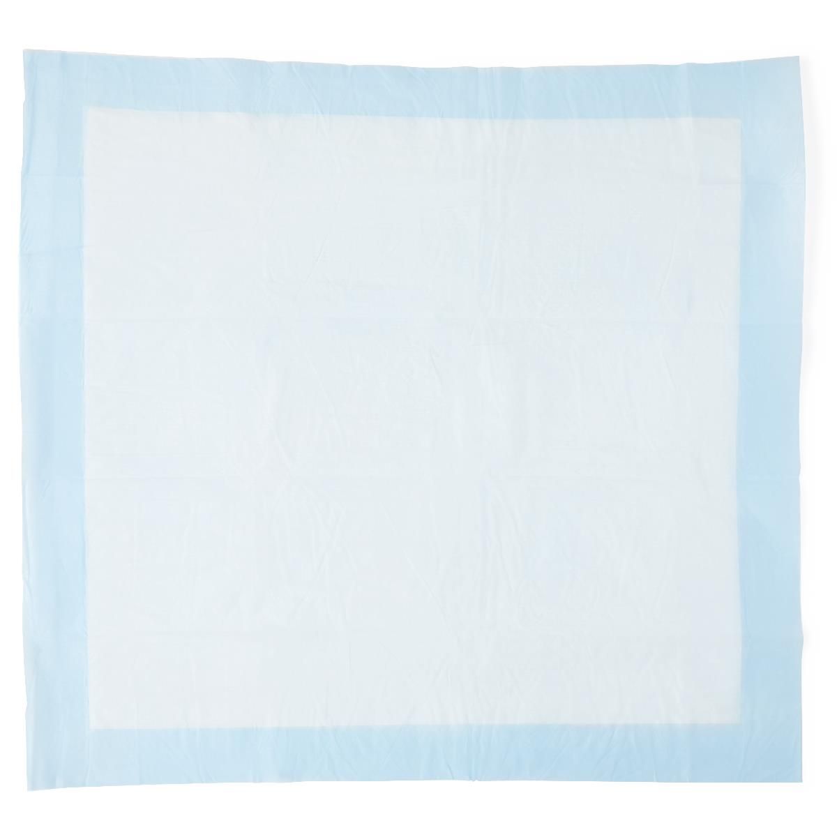 Protection Plus Single-Use Underpad; 23" x 24" (58 cm x 61 cm) Bulk, Light Absorbency