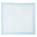 Protection Plus Single-Use Underpad; 23" x 24" (58 cm x 61 cm) Bulk, Light Absorbency