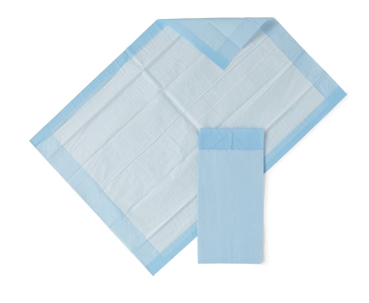 Protection Plus Single-Use Underpad; 23" x 36" (58 cm x 91 cm) Bulk, Light Absorbency