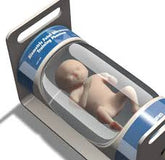 Full Fetal Phantom - 36 Weeks Gestation, EA