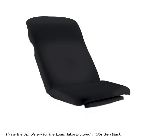 Upholstery Top for Ritter 204 Manual Examination Table